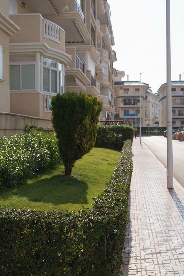Apartment Sunny La Mata لا ماتا المظهر الخارجي الصورة